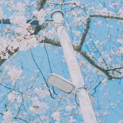 圣王裁决官方版