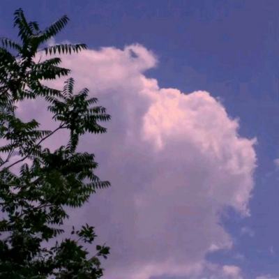王牌X王牌手游最新版(暂未上线)v1.0 官方安卓版